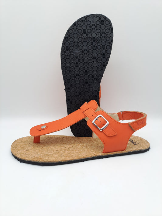 Koel Barefoot Ariana Napa .