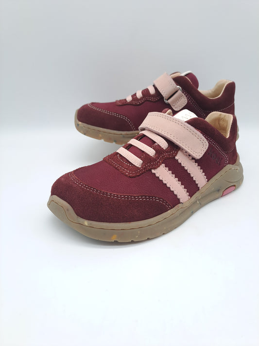 Koel Barefoot Shane .