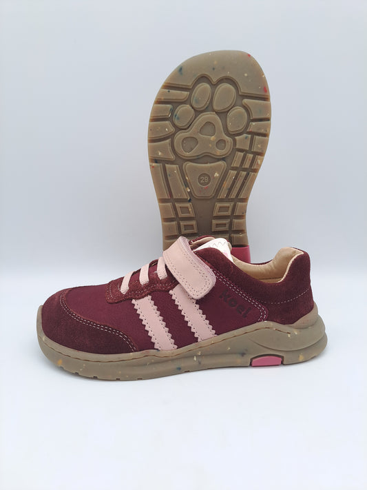 Koel Barefoot Shane .