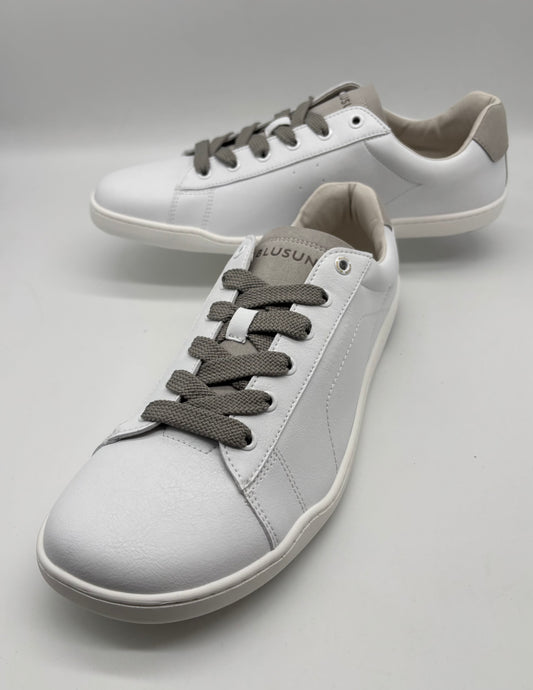 BLUSUN BLSN-101M .
