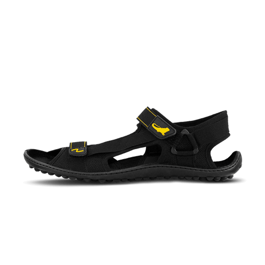 Leguano Attrekktive .