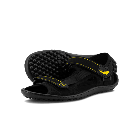 Leguano Attrekktive .