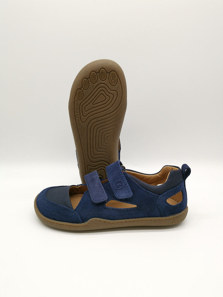 Blifestyle Kammmolch Weit Blifestyle