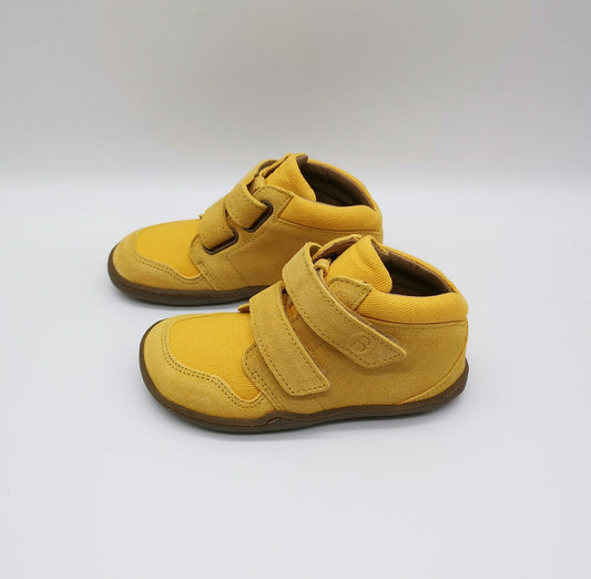 Blifestyle Raccoon Bio Blifestyle