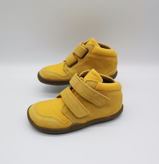 Blifestyle Raccoon Bio Blifestyle