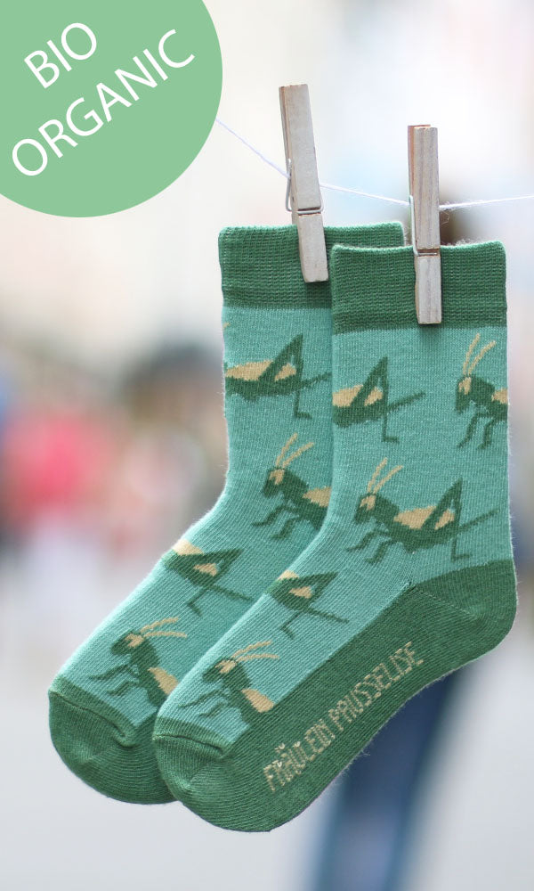 Fräulein Prusselise Socken ,