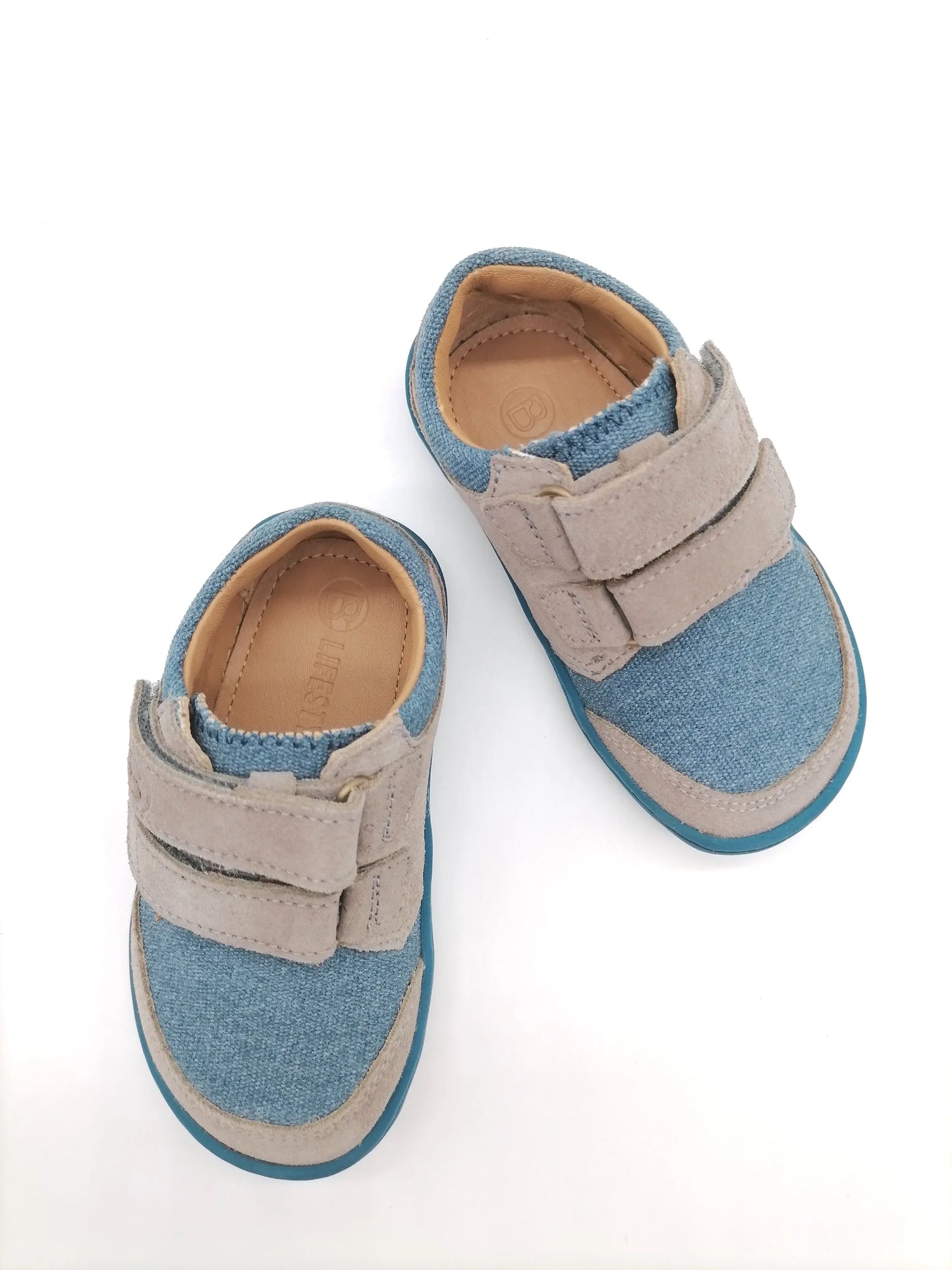 Blifestyle Skink breit Blifestyle
